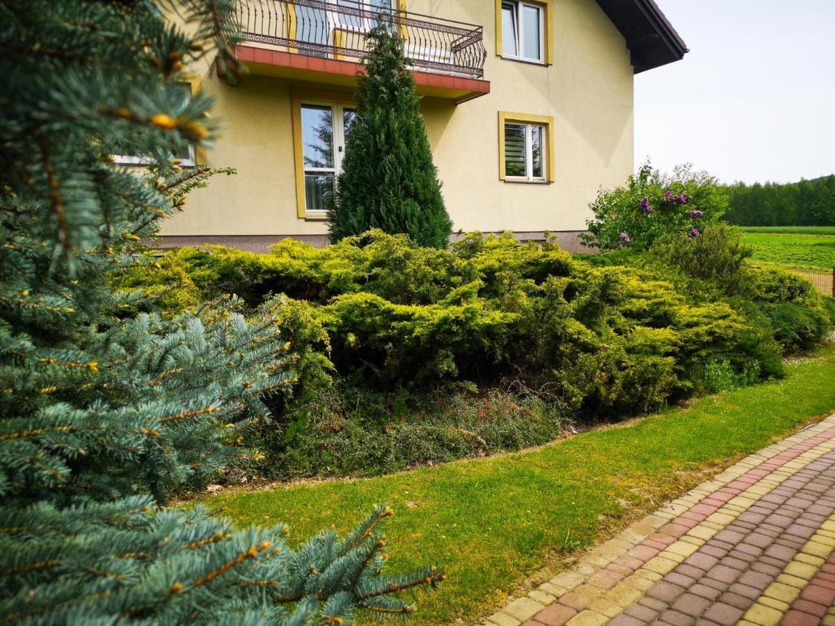 Swierkowy Zakatek Gorno  Exteriér fotografie